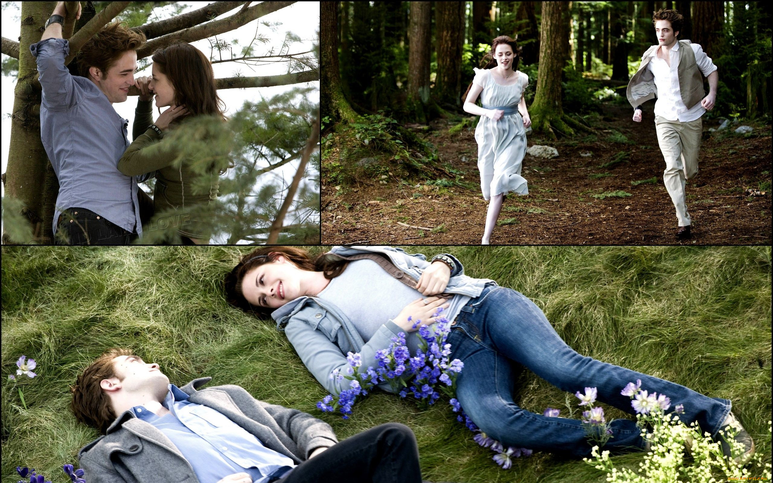 , , the, twilight, saga, eclipse